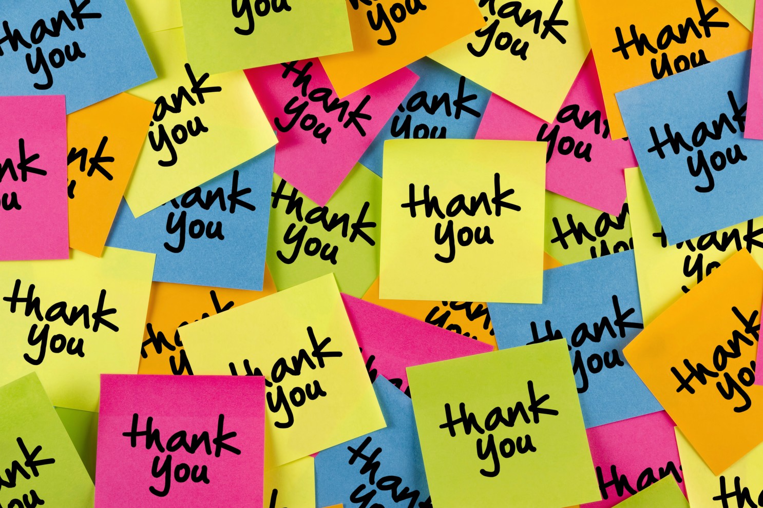 multi-colored post it notes that say Thank You